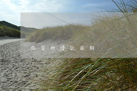 微贷网借款逾期 微贷网借款逾期