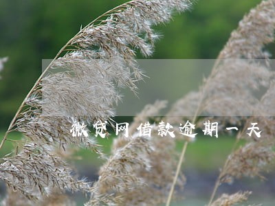 微贷网借款逾期一天 微贷网借款逾期一天