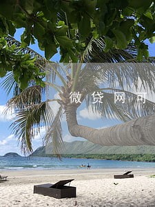 微贷网可以逾期几天 微贷网可以逾期几天