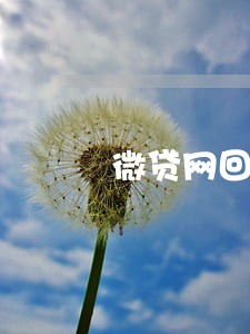 微贷网回款逾期怎么办 微贷网回款逾期怎么办