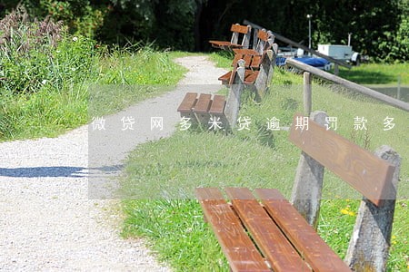 微贷网多米贷逾期罚款多少 微贷网多米贷逾期罚款多少
