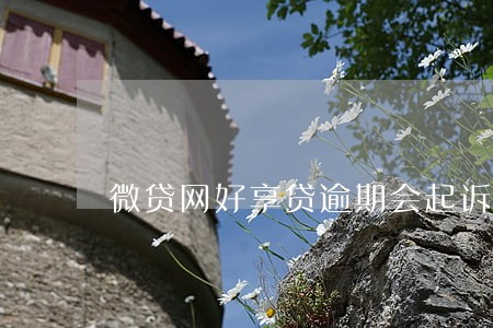 微贷网好享贷逾期会起诉吗 微贷网好享贷逾期会起诉吗