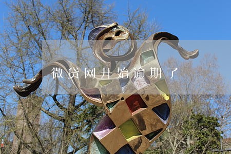 微贷网开始逾期了 微贷网开始逾期了