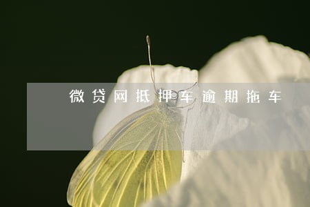 微贷网抵押车逾期拖车 微贷网抵押车逾期拖车