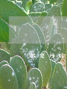 微贷网抵贷逾期几天收车 微贷网抵贷逾期几天收车