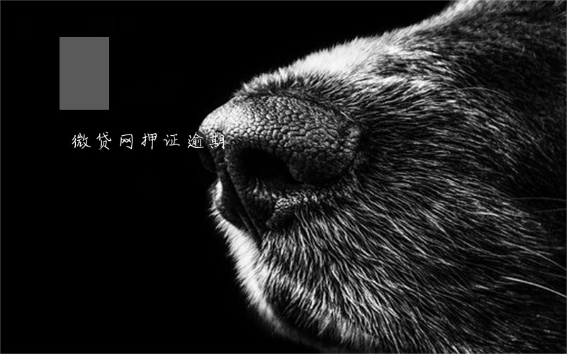 微贷网押证逾期 微贷网押证逾期