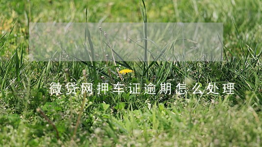 微贷网押车证逾期怎么处理 微贷网押车证逾期怎么处理
