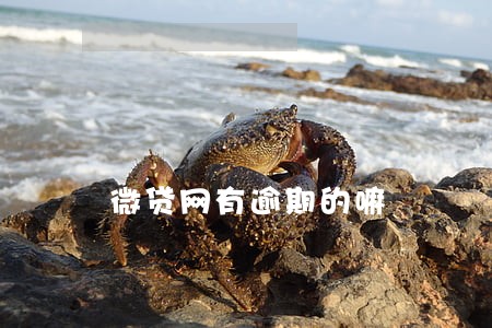微贷网有逾期的嘛 微贷网有逾期的嘛