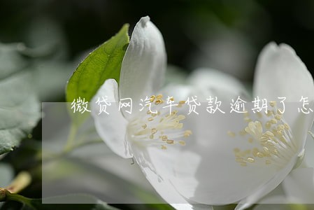 微贷网汽车贷款逾期了怎么办 微贷网汽车贷款逾期了怎么办