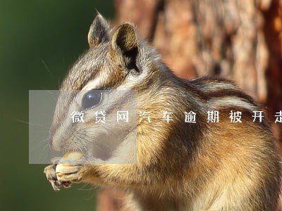 微贷网汽车逾期被开走