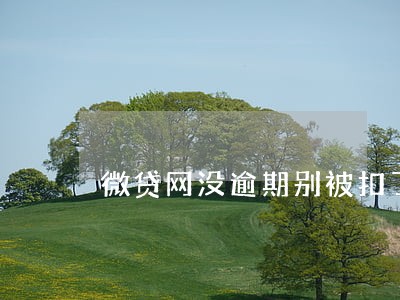 微贷网没逾期别被扣了 微贷网没逾期别被扣了