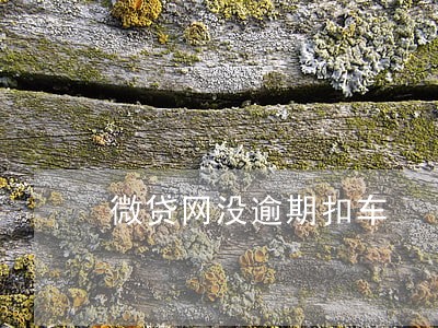 微贷网没逾期扣车 微贷网没逾期扣车