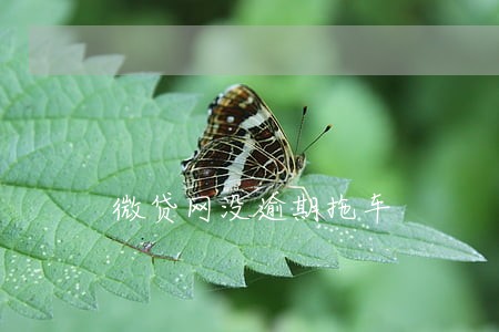 微贷网没逾期拖车 微贷网没逾期拖车
