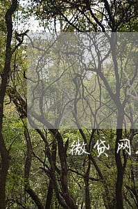 微贷网现在逾期还拖车吗 微贷网现在逾期还拖车吗