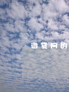 微贷网的逾期是怎么罚息的