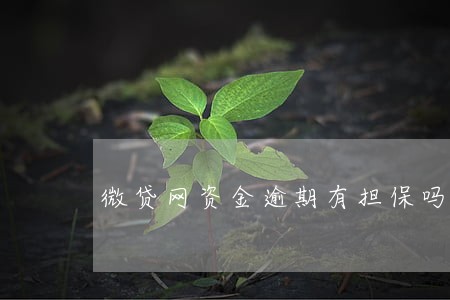 微贷网资金逾期有担保吗 微贷网资金逾期有担保吗