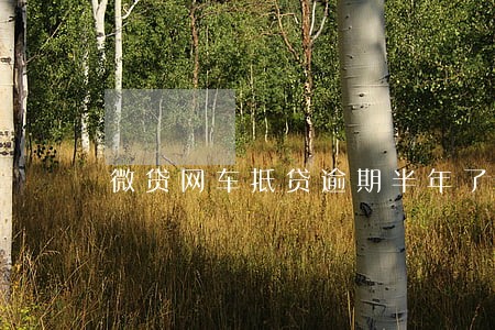 微贷网车抵贷逾期半年了 微贷网车抵贷逾期半年了
