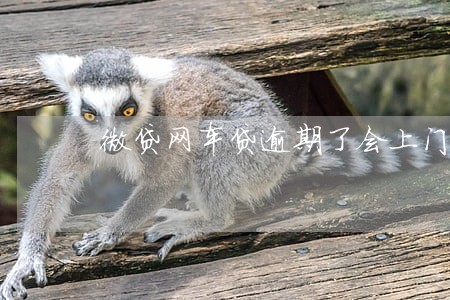 微贷网车贷逾期了会上门吗 微贷网车贷逾期了会上门吗