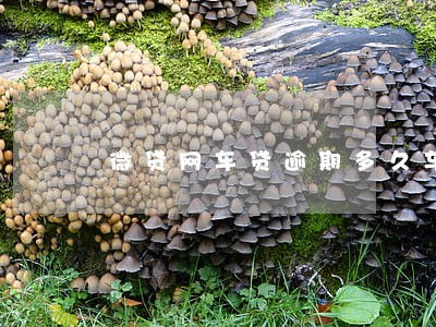微贷网车贷逾期多久车被开走 微贷网车贷逾期多久车被开走