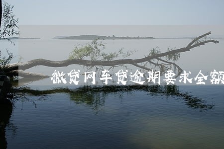 微贷网车贷逾期要求全额还款 微贷网车贷逾期要求全额还款