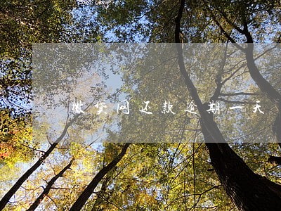 微贷网还款逾期一天 微贷网还款逾期一天