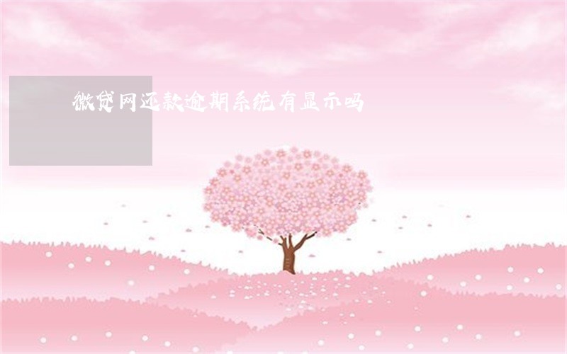微贷网还款逾期系统有显示吗 微贷网还款逾期系统有显示吗