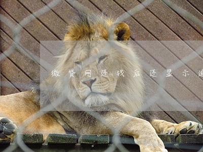 微贷网还钱后还显示逾期 微贷网还钱后还显示逾期