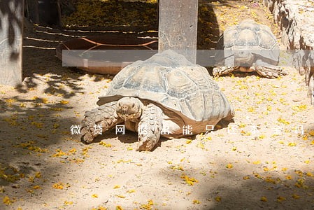 微贷网退出能只还本金吗 微贷网退出能只还本金吗