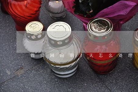 微贷网逾期3天怎么处理 微贷网逾期3天怎么处理