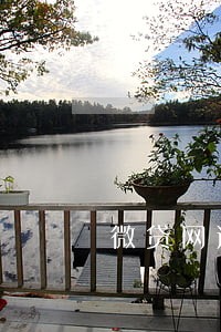 微贷网逾期5天怎么办 微贷网逾期5天怎么办
