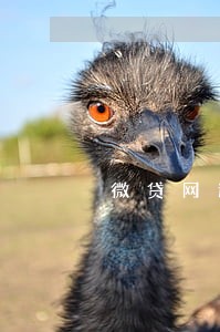 微贷网逾期6个月 微贷网逾期6个月