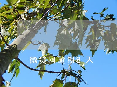 微贷网逾期8天 微贷网逾期8天
