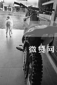 微贷网逾期一个月 微贷网逾期一个月