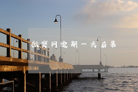 微贷网逾期一天后果