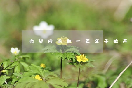 微贷网逾期一天车子被开走 微贷网逾期一天车子被开走