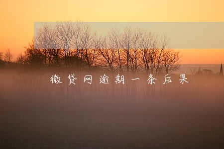 微贷网逾期一条后果 微贷网逾期一条后果
