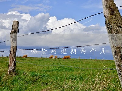 微贷网逾期两个月