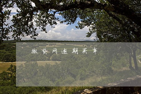 微贷网逾期买车