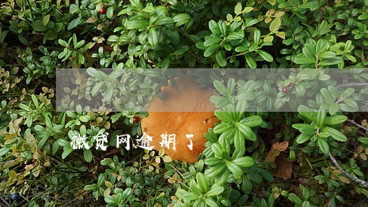 微贷网逾期了 微贷网逾期了