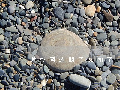 微贷网逾期了又扣了1000