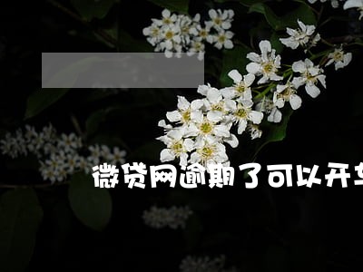微贷网逾期了可以开车吗 微贷网逾期了可以开车吗