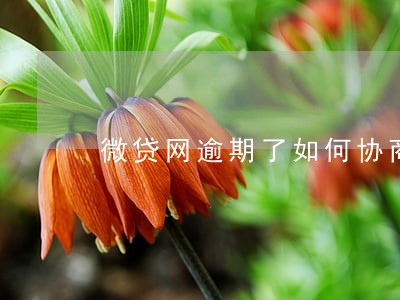 微贷网逾期了如何协商 微贷网逾期了如何协商
