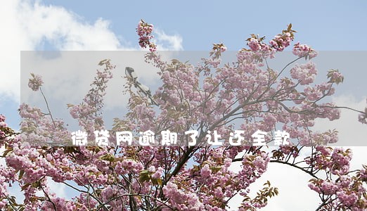 微贷网逾期了让还全款 微贷网逾期了让还全款