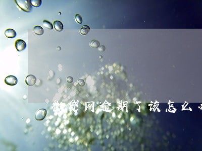 微贷网逾期了该怎么办 微贷网逾期了该怎么办