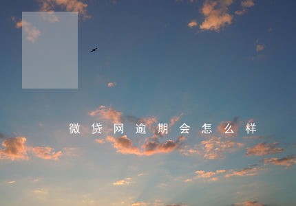 微贷网逾期会怎么样 微贷网逾期会怎么样