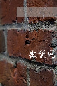 微贷网逾期偷车