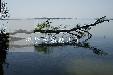 微贷网逾期几个 微贷网逾期几个