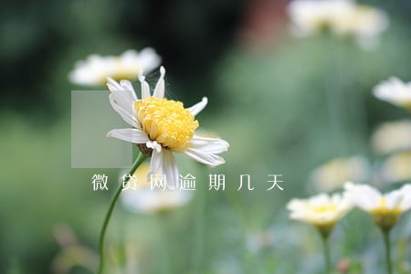 微贷网逾期几天 微贷网逾期几天