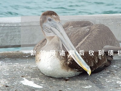 微贷网逾期后收到债权转让 微贷网逾期后收到债权转让