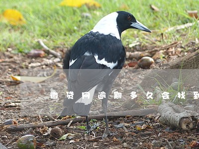 微贷网逾期多久会找到 微贷网逾期多久会找到